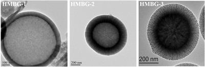 Corrigendum: The Preparation of Hollow Mesoporous Bioglass Nanoparticles With Excellent Drug Delivery Capacity for Bone Tissue Regeneration